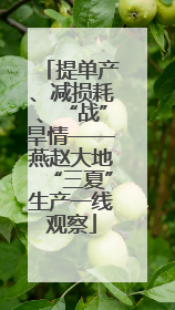 提单产、减损耗、“战”旱情——燕赵大地“三夏”生产一线观察