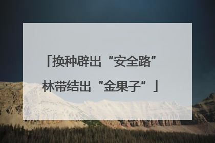 换种辟出“安全路” 林带结出“金果子”