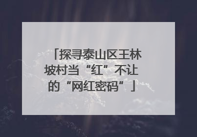 探寻泰山区王林坡村当“红”不让的“网红密码”