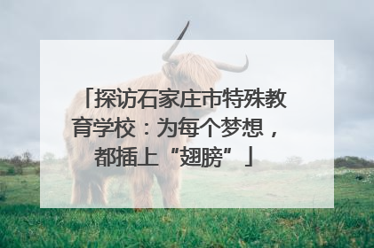 探访石家庄市特殊教育学校：为每个梦想，都插上“翅膀”