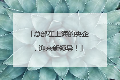 总部在上海的央企，迎来新领导！