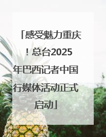 感受魅力重庆！总台2025年巴西记者中国行媒体活动正式启动