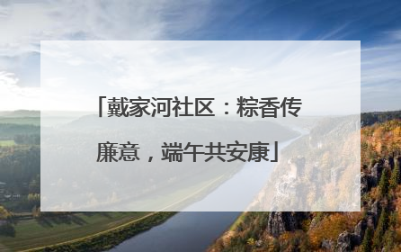 戴家河社区：粽香传廉意，端午共安康
