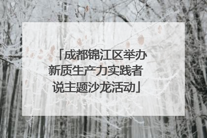 成都锦江区举办新质生产力实践者说主题沙龙活动