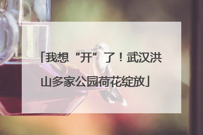 我想“开”了！武汉洪山多家公园荷花绽放