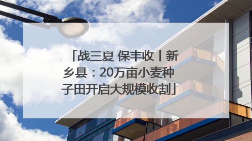 战三夏 保丰收丨新乡县：20万亩小麦种子田开启大规模收割