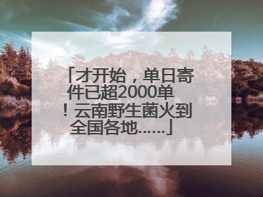 才开始，单日寄件已超2000单！云南野生菌火到全国各地……