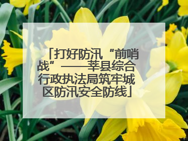打好防汛“前哨战”——莘县综合行政执法局筑牢城区防汛安全防线