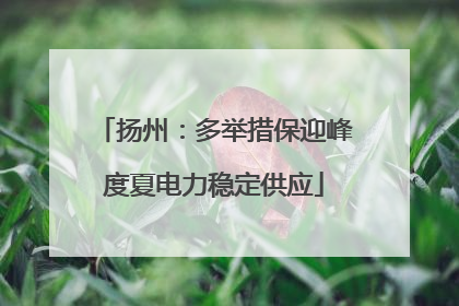 扬州：多举措保迎峰度夏电力稳定供应