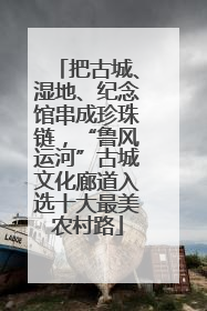 把古城、湿地、纪念馆串成珍珠链，“鲁风运河”古城文化廊道入选十大最美农村路