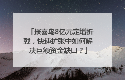 报喜鸟8亿元定增折戟，快速扩张中如何解决巨额资金缺口？