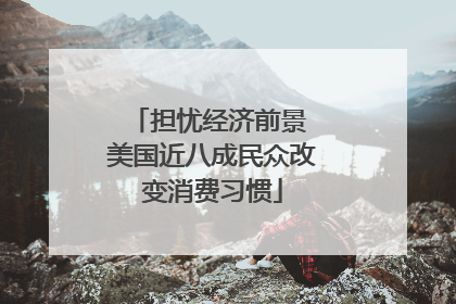 担忧经济前景 美国近八成民众改变消费习惯