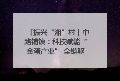 振兴“湘”村｜中路铺镇：科技赋能“金蛋产业” 全链驱动乡村振兴