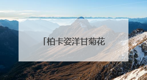 柏卡姿洋甘菊花水与纯露，以植物之力，编织肌肤的安抚诗篇