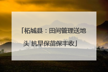 柘城县：田间管理送地头 抗旱保苗保丰收