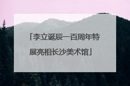 李立诞辰一百周年特展亮相长沙美术馆