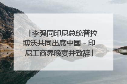 李强同印尼总统普拉博沃共同出席中国－印尼工商界晚宴并致辞