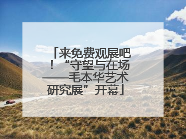 来免费观展吧！“守望与在场——毛本华艺术研究展”开幕