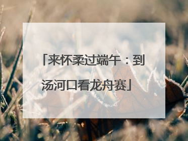 来怀柔过端午：到汤河口看龙舟赛