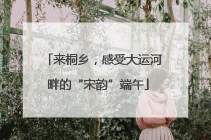 来桐乡，感受大运河畔的“宋韵”端午