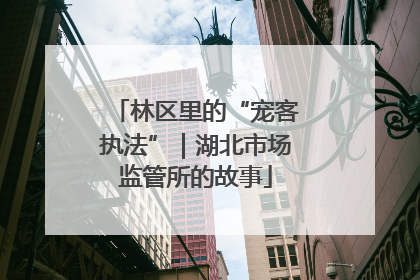 林区里的“宠客执法”｜湖北市场监管所的故事