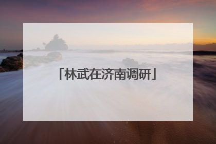 林武在济南调研
