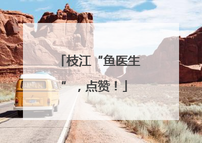 枝江“鱼医生”，点赞！