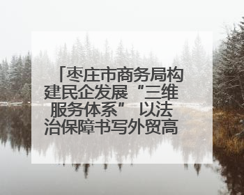 枣庄市商务局构建民企发展“三维服务体系” 以法治保障书写外贸高质量答卷