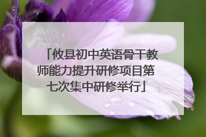 攸县初中英语骨干教师能力提升研修项目第七次集中研修举行