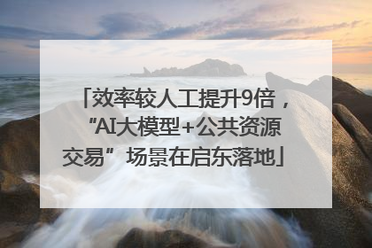 效率较人工提升9倍，“AI大模型+公共资源交易”场景在启东落地