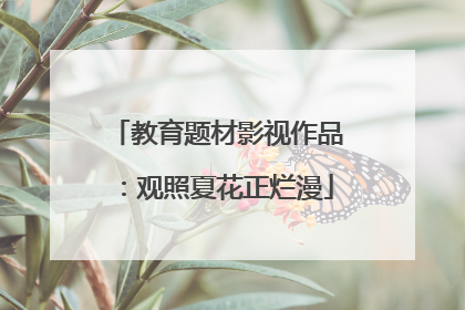 教育题材影视作品：观照夏花正烂漫
