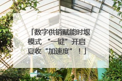 数字供销赋能时堰模式 “一键”开启夏收“加速度”！