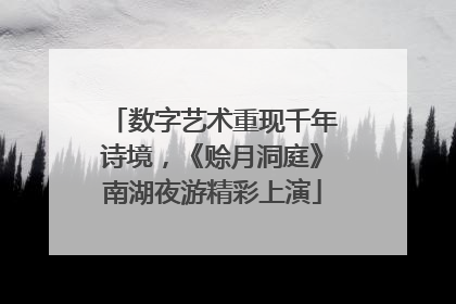 数字艺术重现千年诗境，《赊月洞庭》南湖夜游精彩上演