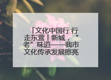 文化中国行 行走东营丨新城，“老”味道——我市文化传承发展擦亮地域特色