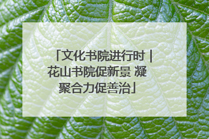 文化书院进行时｜花山书院促新景 凝聚合力促善治