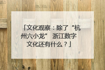 文化观察：除了“杭州六小龙” 浙江数字文化还有什么？