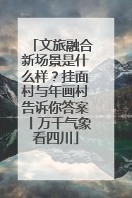 文旅融合新场景是什么样？挂面村与年画村告诉你答案丨万千气象看四川