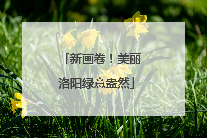 新画卷！美丽洛阳绿意盎然