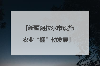 新疆阿拉尔市设施农业“棚”勃发展