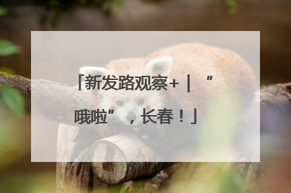 新发路观察+｜“哦啦”，长春！