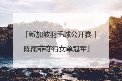 新加坡羽毛球公开赛丨陈雨菲夺得女单冠军