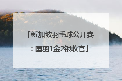 新加坡羽毛球公开赛：国羽1金2银收官