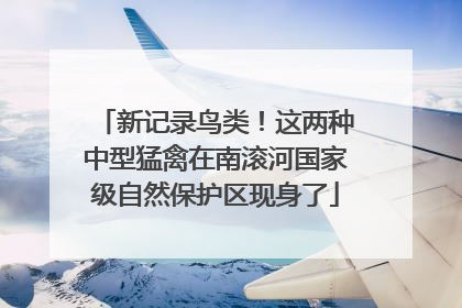 新记录鸟类！这两种中型猛禽在南滚河国家级自然保护区现身了