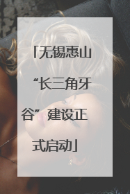 无锡惠山“长三角牙谷”建设正式启动