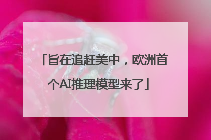 旨在追赶美中，欧洲首个AI推理模型来了