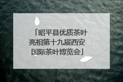 昭平县优质茶叶亮相第十九届西安国际茶叶博览会
