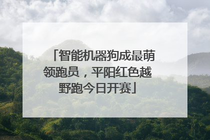 智能机器狗成最萌领跑员，平阳红色越野跑今日开赛