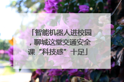 智能机器人进校园，聊城这堂交通安全课“科技感”十足