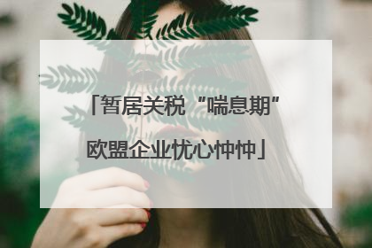 暂居关税“喘息期” 欧盟企业忧心忡忡