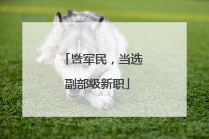 暨军民，当选副部级新职